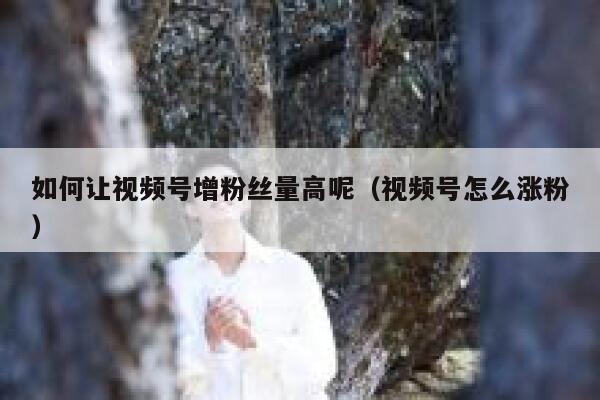 如何让视频号增粉丝量高呢(视频号怎么涨粉) 第1张 如何让视频号增粉丝量高呢(视频号怎么涨粉) 第1张