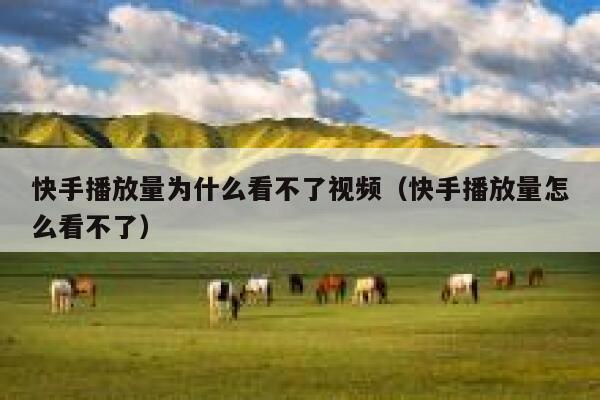 快手播放量为什么看不了视频（快手播放量怎么看不了） 第1张