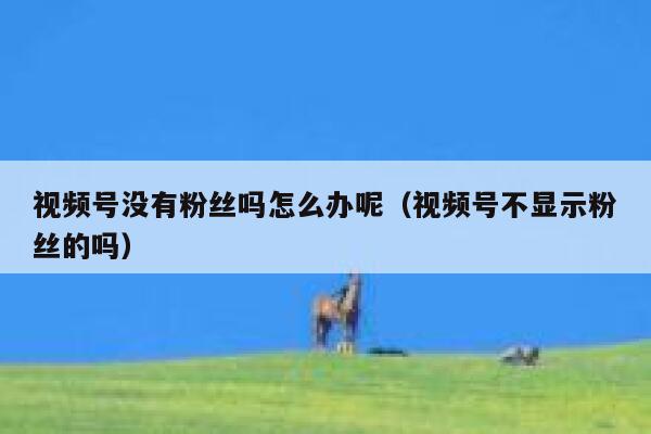 视频号没有粉丝吗怎么办呢(视频号不显示粉丝的吗) 第1张 视频号没有粉丝吗怎么办呢(视频号不显示粉丝的吗) 第1张