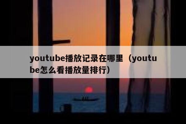 youtube播放记录在哪里（youtube怎么看播放量排行） 第1张