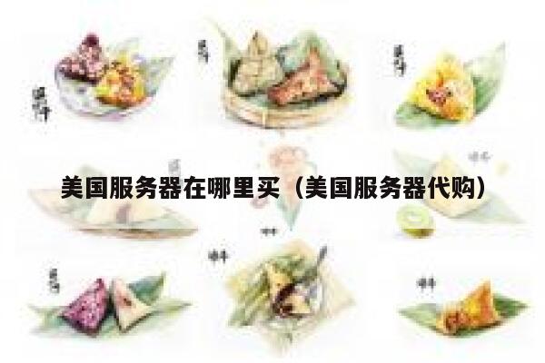 美国服务器在哪里买（美国服务器代购） 第1张