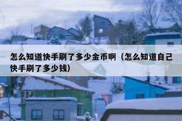 怎么知道快手刷了多少金币啊（怎么知道自己快手刷了多少钱） 第1张