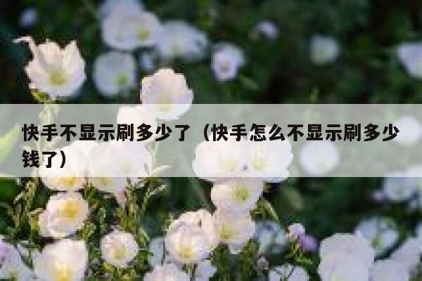 快手不显示刷多少了（快手怎么不显示刷多少钱了） 第1张