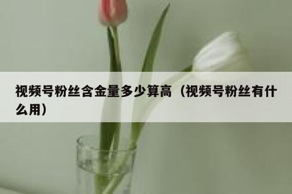 视频号粉丝含金量多少算高（视频号粉丝有什么用） 第1张