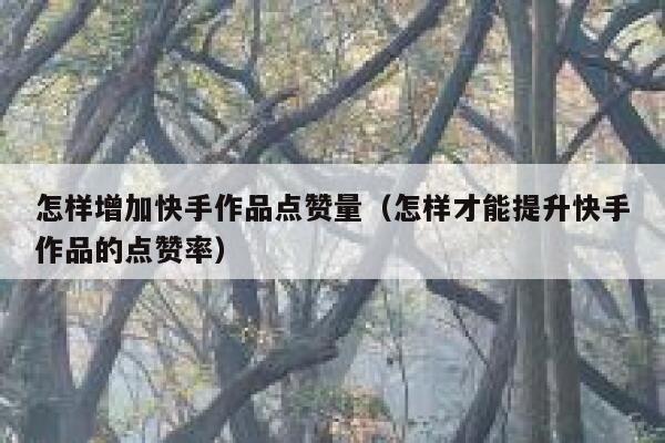 怎样增加快手作品点赞量（怎样才能提升快手作品的点赞率） 第1张