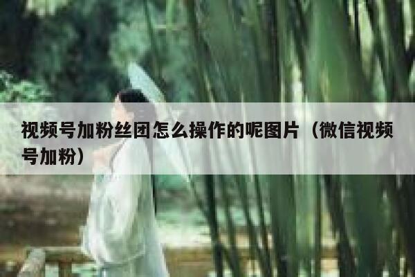 视频号加粉丝团怎么操作的呢图片（微信视频号加粉） 第1张