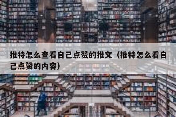 推特怎么查看自己点赞的推文（推特怎么看自己点赞的内容） 第1张