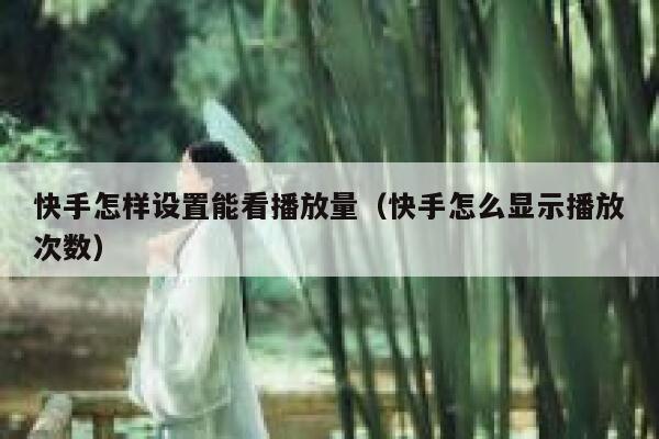快手怎样设置能看播放量（快手怎么显示播放次数） 第1张