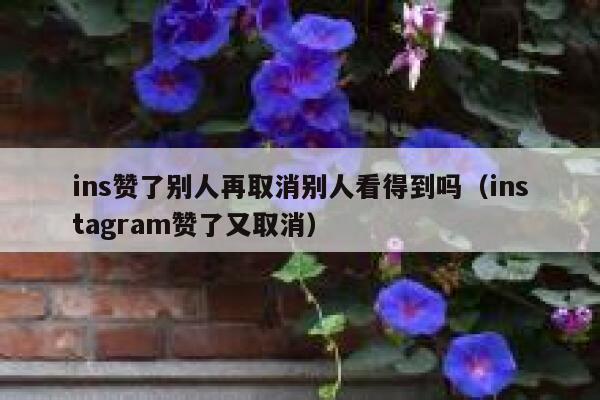 ins赞了别人再取消别人看得到吗（instagram赞了又取消） 第1张