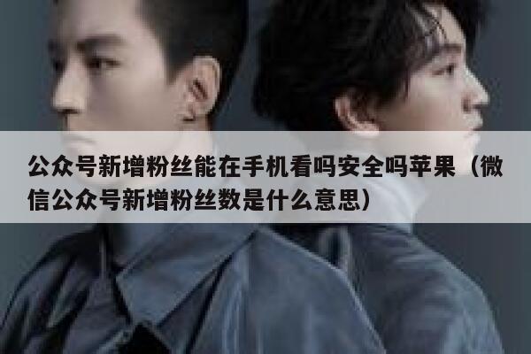 公众号新增粉丝能在手机看吗安全吗苹果（微信公众号新增粉丝数是什么意思） 第1张