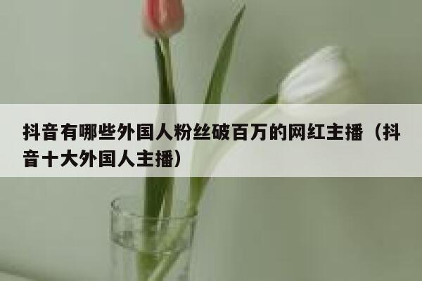 抖音有哪些外国人粉丝破百万的网红主播（抖音十大外国人主播） 第1张