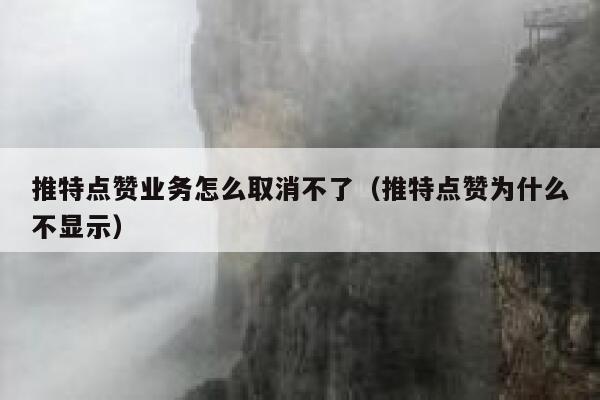 推特点赞业务怎么取消不了（推特点赞为什么不显示） 第1张
