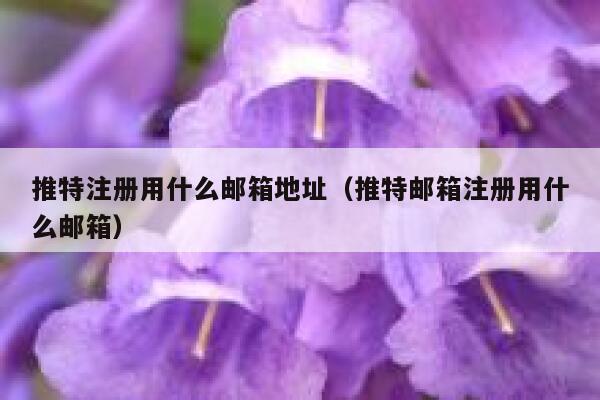 推特注册用什么邮箱地址（推特邮箱注册用什么邮箱） 第1张