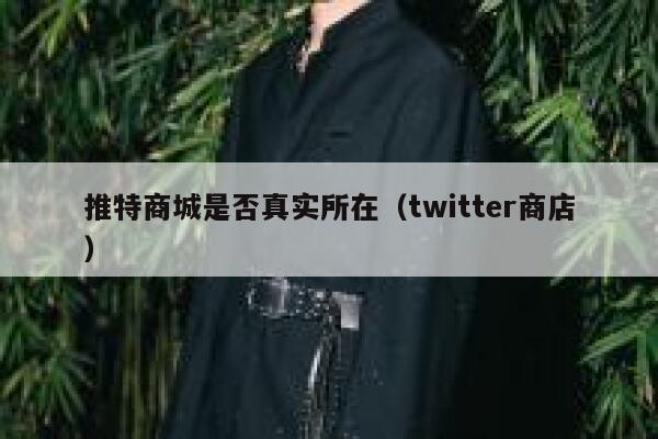 推特商城是否真实所在（twitter商店） 第1张