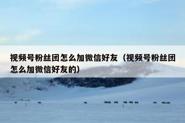 视频号粉丝团怎么加微信好友（视频号粉丝团怎么加微信好友的） 第1张