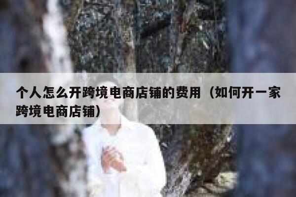 个人怎么开跨境电商店铺的费用（如何开一家跨境电商店铺） 第1张