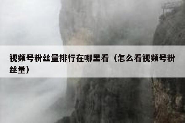 视频号粉丝量排行在哪里看（怎么看视频号粉丝量） 第1张