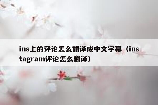 ins上的评论怎么翻译成中文字幕（instagram评论怎么翻译） 第1张