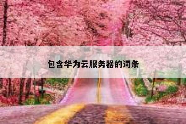 包含华为云服务器的词条 第1张