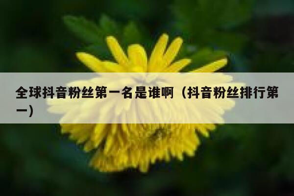 全球抖音粉丝第一名是谁啊（抖音粉丝排行第一） 第1张