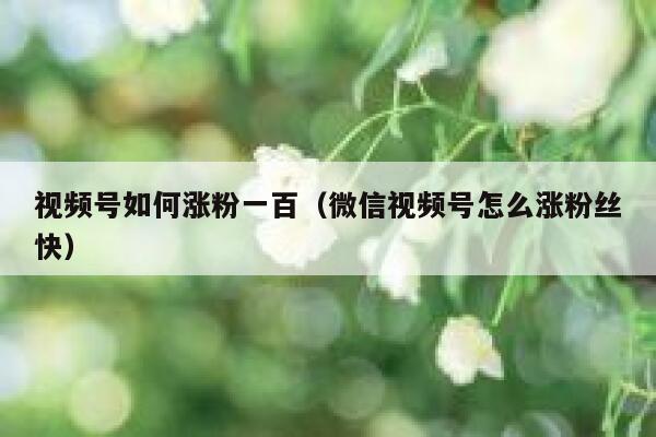 视频号如何涨粉一百（微信视频号怎么涨粉丝快） 第1张