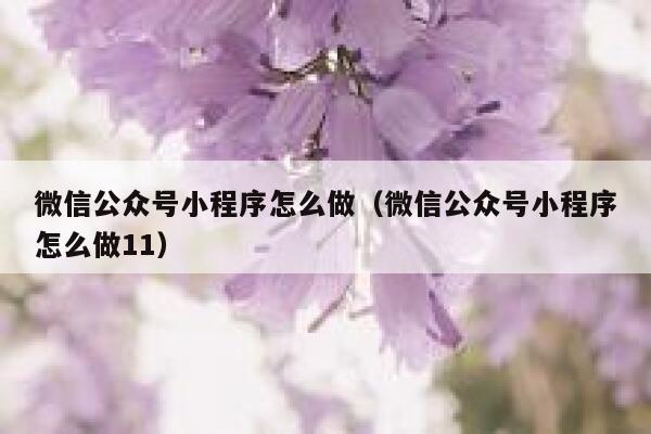 微信公众号小程序怎么做（微信公众号小程序怎么做11） 第1张