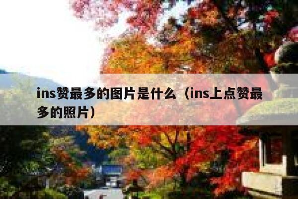 ins赞最多的图片是什么（ins上点赞最多的照片） 第1张