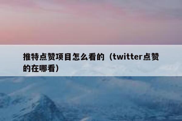 推特点赞项目怎么看的（twitter点赞的在哪看） 第1张