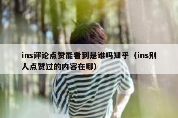 ins评论点赞能看到是谁吗知乎（ins别人点赞过的内容在哪） 第1张