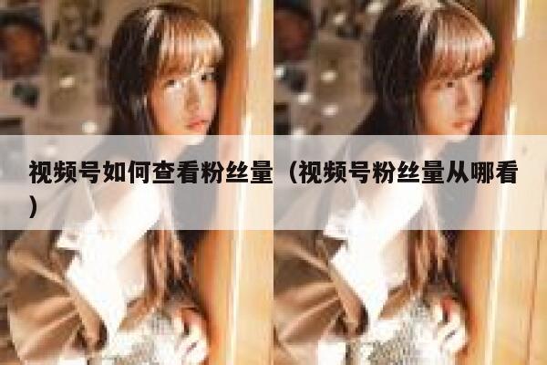 视频号如何查看粉丝量（视频号粉丝量从哪看） 第1张