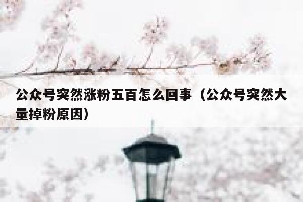公众号突然涨粉五百怎么回事（公众号突然大量掉粉原因） 第1张