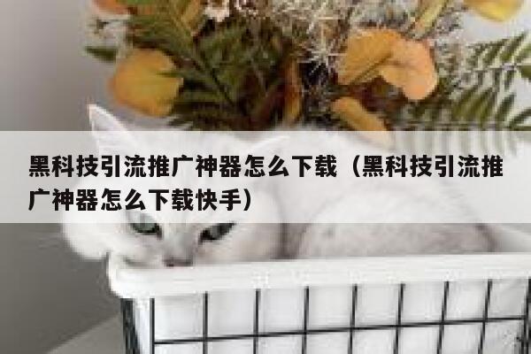 黑科技引流推广神器怎么下载（黑科技引流推广神器怎么下载快手） 第1张