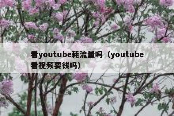 看youtube耗流量吗（youtube看视频要钱吗） 第1张
