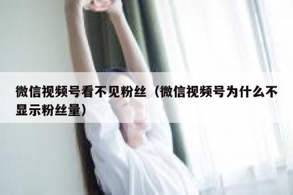 微信视频号看不见粉丝（微信视频号为什么不显示粉丝量） 第1张