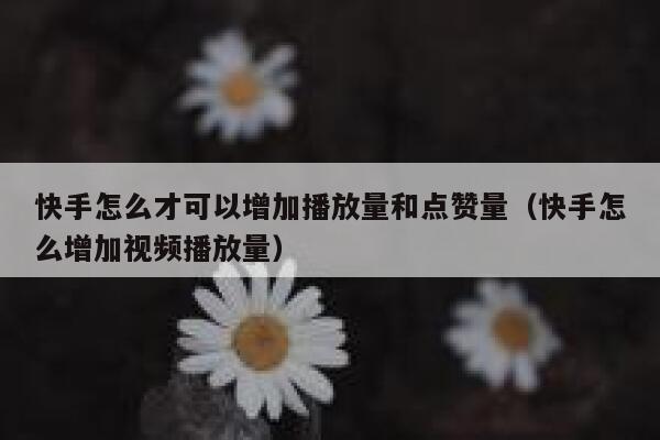 快手怎么才可以增加播放量和点赞量（快手怎么增加视频播放量） 第1张
