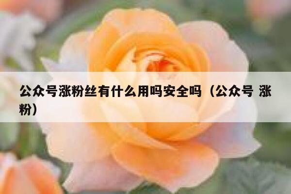 公众号涨粉丝有什么用吗安全吗（公众号 涨粉） 第1张