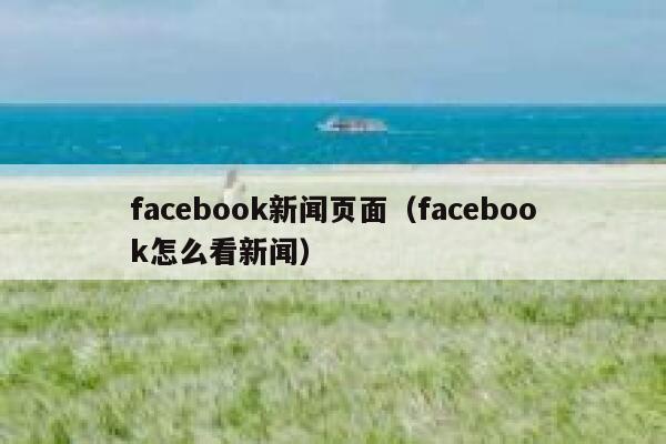 facebook新闻页面（facebook怎么看新闻） 第1张