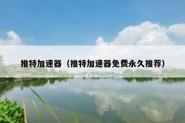推特加速器（推特加速器免费永久推荐） 第1张