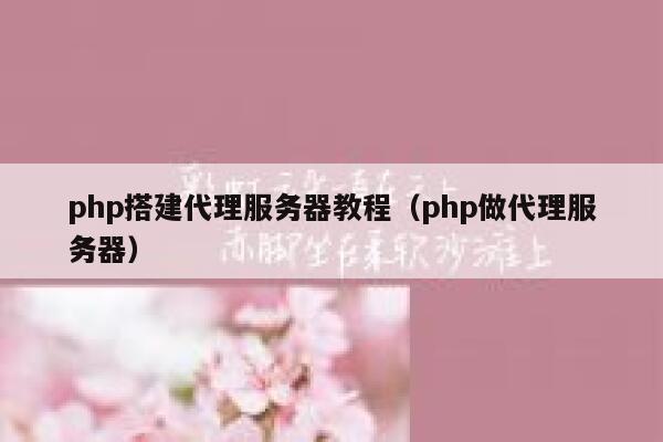 php搭建代理服务器教程（php做代理服务器） 第1张