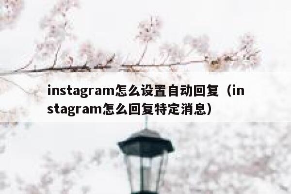 instagram怎么设置自动回复（instagram怎么回复特定消息） 第1张