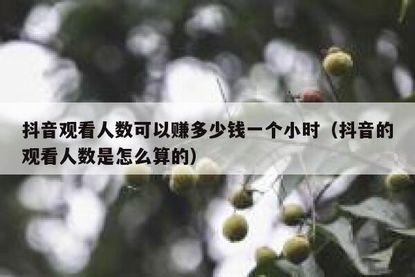 抖音观看人数可以赚多少钱一个小时（抖音的观看人数是怎么算的） 第1张