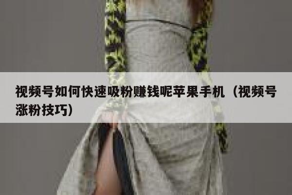 视频号如何快速吸粉赚钱呢苹果手机（视频号涨粉技巧） 第1张