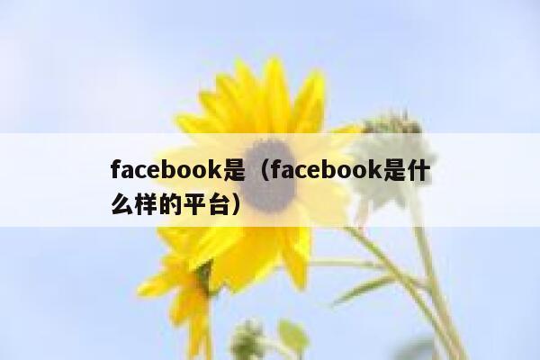 facebook是（facebook是什么样的平台） 第1张