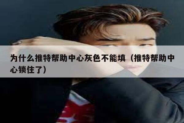 为什么推特帮助中心灰色不能填（推特帮助中心锁住了） 第1张