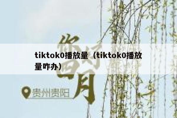 tiktok0播放量（tiktok0播放量咋办） 第1张