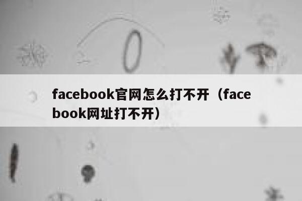 facebook官网怎么打不开（facebook网址打不开） 第1张