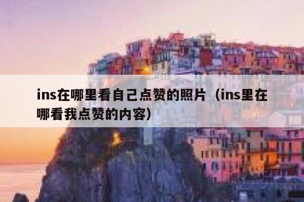 ins在哪里看自己点赞的照片（ins里在哪看我点赞的内容） 第1张