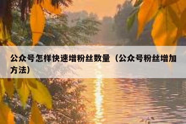 公众号怎样快速增粉丝数量（公众号粉丝增加方法） 第1张