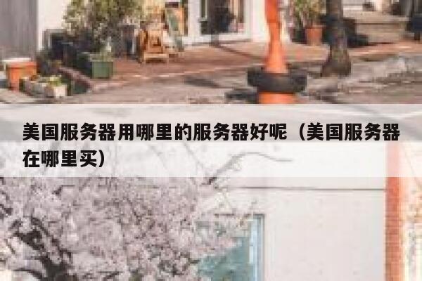 美国服务器用哪里的服务器好呢（美国服务器在哪里买） 第1张