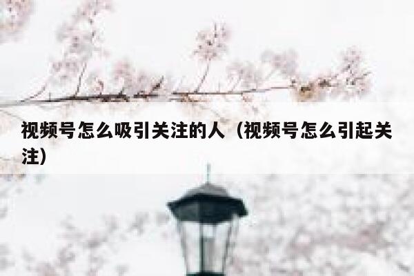 视频号怎么吸引关注的人（视频号怎么引起关注） 第1张